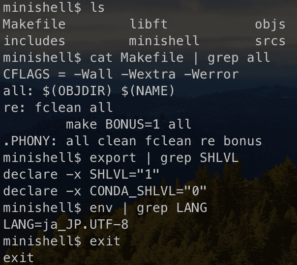minishell image